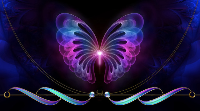 Butterfly purple blue wings black #3 free wallpaper for desktop - medium preview image
