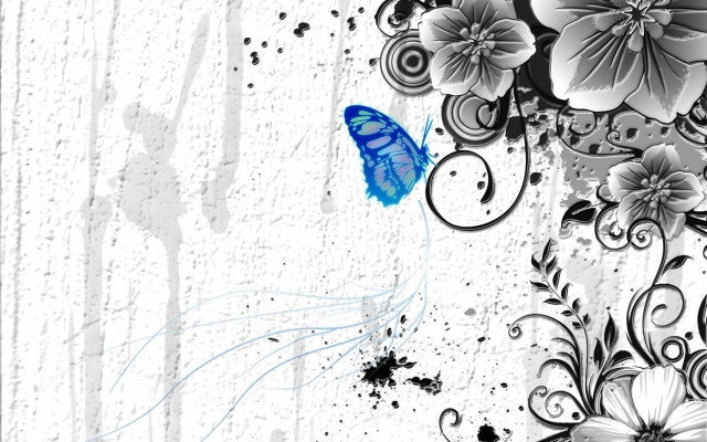 Blue butterfly white wall flowers free wallpaper for desktop - medium preview image