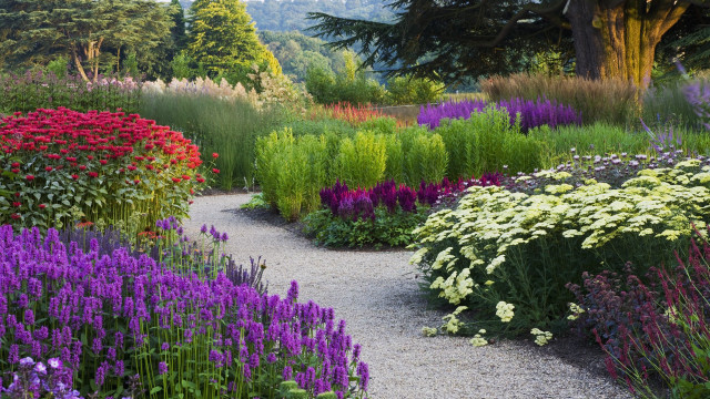 Garden gravel path colorful flowers free wallpaper for desktop - medium preview image