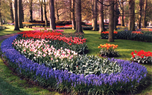 Garden circular flower bed trees free wallpaper for desktop - medium preview image