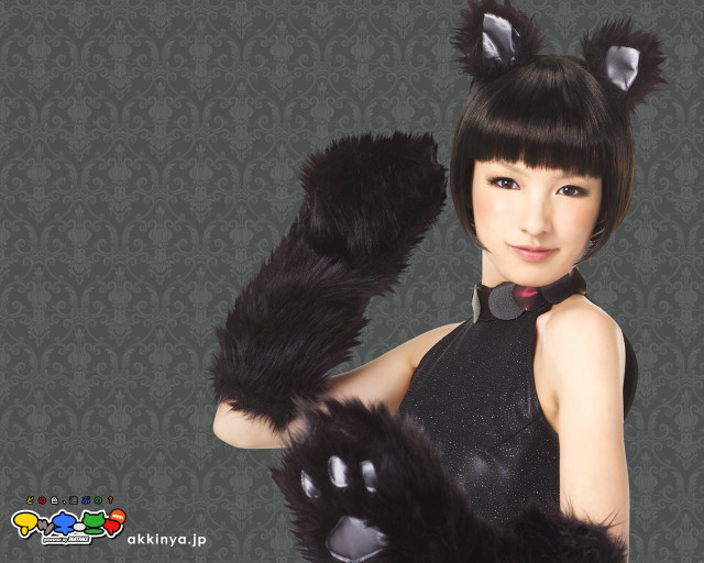 Woman black dress holding cat #2 free wallpaper for desktop - medium preview image