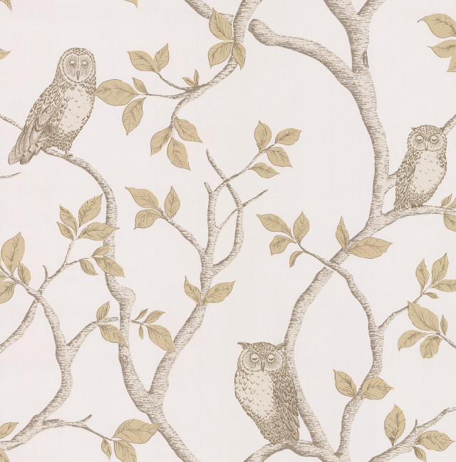 Tree owls leaves wallpaper nature free wallpaper for tablet - medium preview image