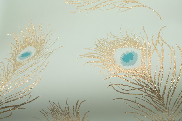 Gold blue wall peacock feather free wallpaper for desktop - medium preview image