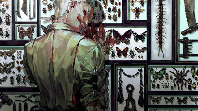 Man butterflies moths museum display free wallpaper for desktop - medium preview image