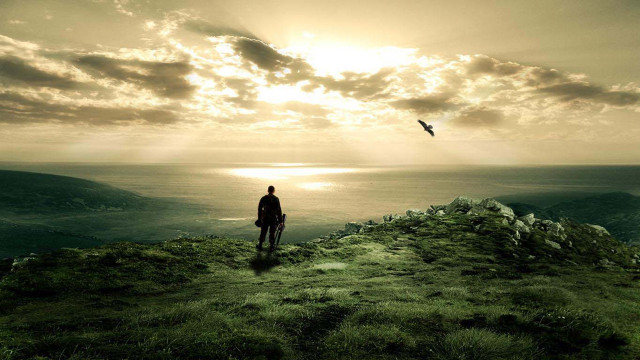 Man hill ocean bird flying #2 free wallpaper for desktop - medium preview image