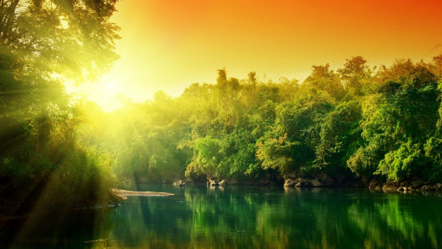 River sunlight trees water foreground free wallpaper for desktop - medium preview image