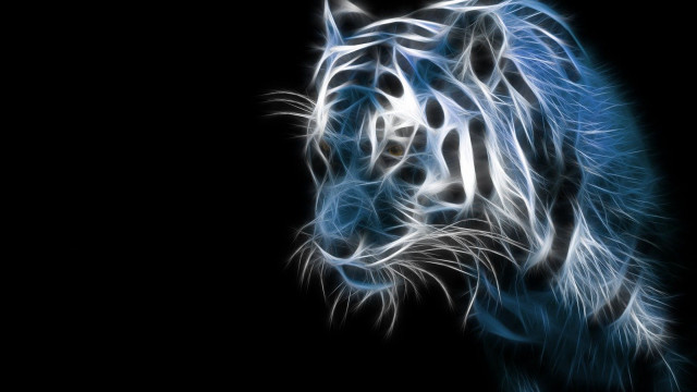 Blue white tiger dark background #2 free wallpaper for desktop - medium preview image