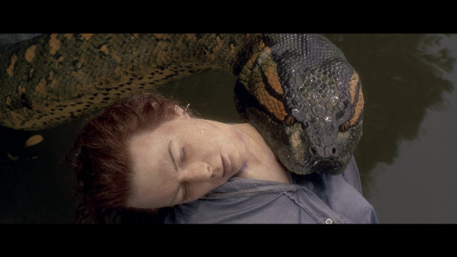 Woman snake head shoulder laying free wallpaper for desktop - medium preview image