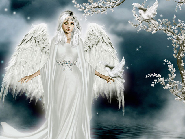 Woman white wings dress veil free wallpaper for desktop - medium preview image