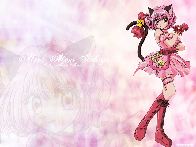 Anime catgirl pinkdress pinkbackground officialart free wallpaper for desktop - medium preview image