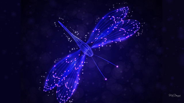 Blue butterfly glowing wings starry #2 free wallpaper for desktop - medium preview image