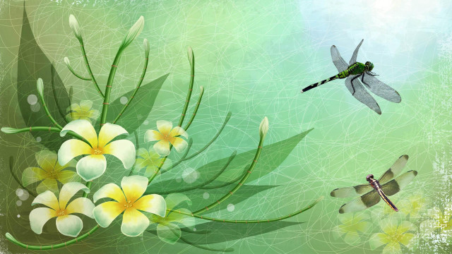 Dragonfly flying over flowers and #2 free wallpaper for desktop - medium preview image