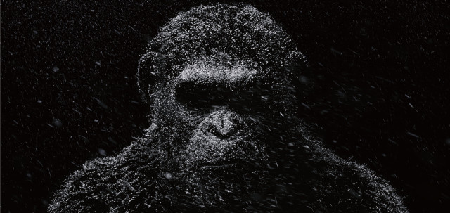 Gorilla snow black background white free wallpaper for desktop - medium preview image