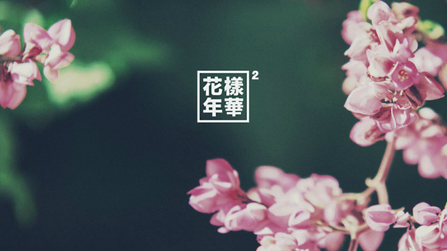Flower closeup japanese writing image free wallpaper for desktop - medium preview image