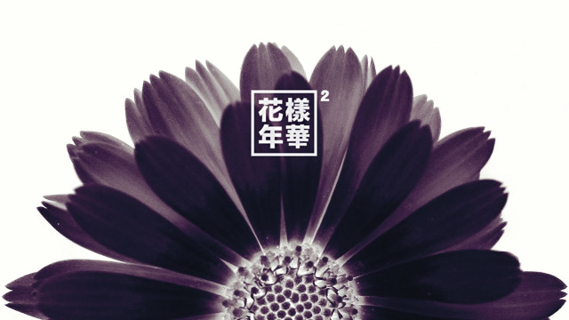 Flower white background chinese writing free wallpaper for desktop - medium preview image