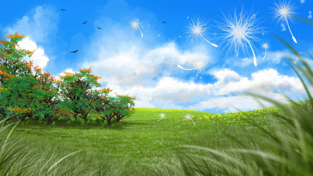 Field trees sky fireworks birds free wallpaper for desktop - medium preview image