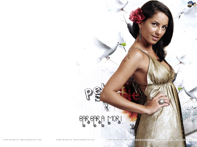 Woman dress posing birds flying free wallpaper for desktop - medium preview image