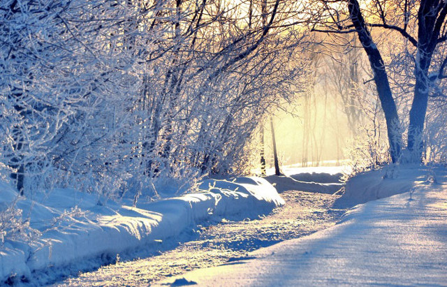 Snowy path trees bench sunbeam free wallpaper for desktop - medium preview image