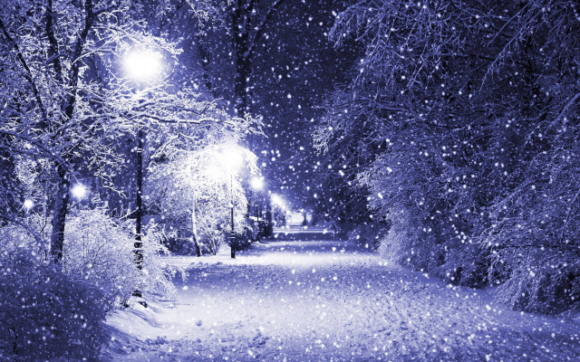Snowy night park streetlight trees free wallpaper for desktop - medium preview image