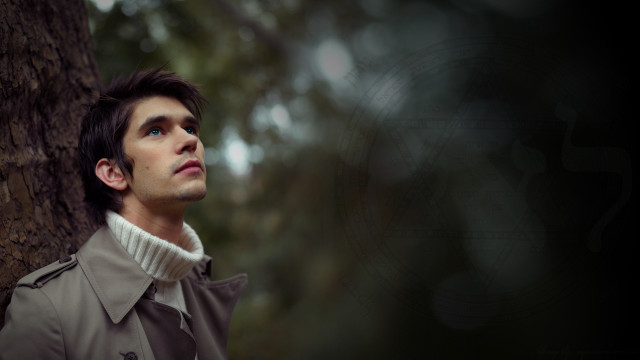 Man standing tree forest looking free wallpaper for desktop - medium preview image