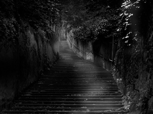 Stairs tunnel forest vines stone free wallpaper for desktop - medium preview image