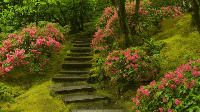 Steps hillside pink flowers green free wallpaper for desktop - medium preview image