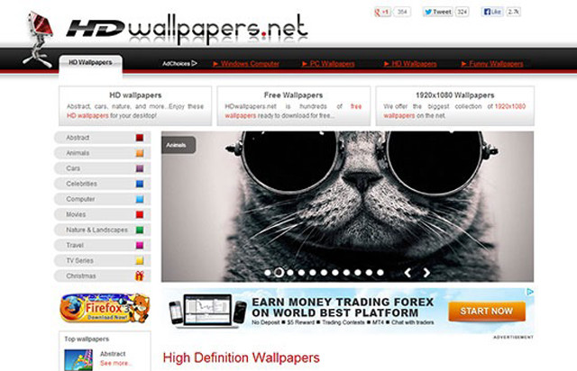 Cat sunglasses looking camera website free wallpaper for desktop - medium preview image