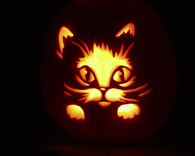 Carved pumpkin cat face glowing free wallpaper for desktop - medium preview image