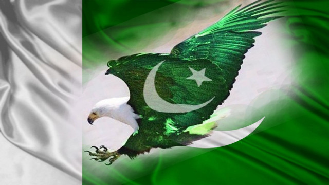 Green white flag eagle star free wallpaper for desktop - medium preview image