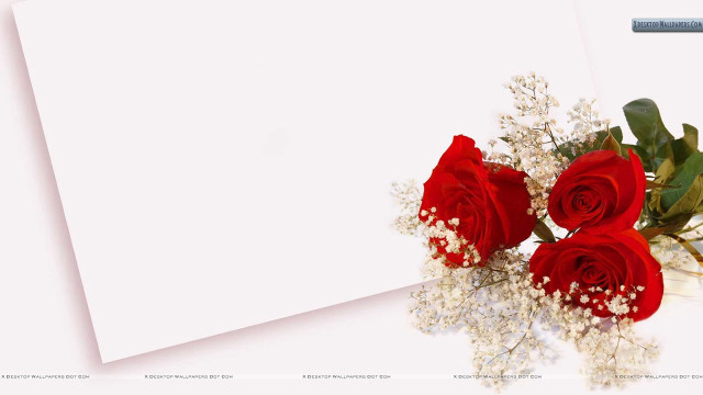 Red roses bouquet white paper free wallpaper for desktop - medium preview image