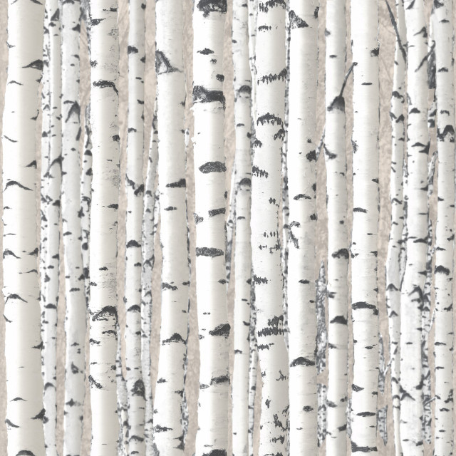 White trees black trunks background free wallpaper for tablet - medium preview image