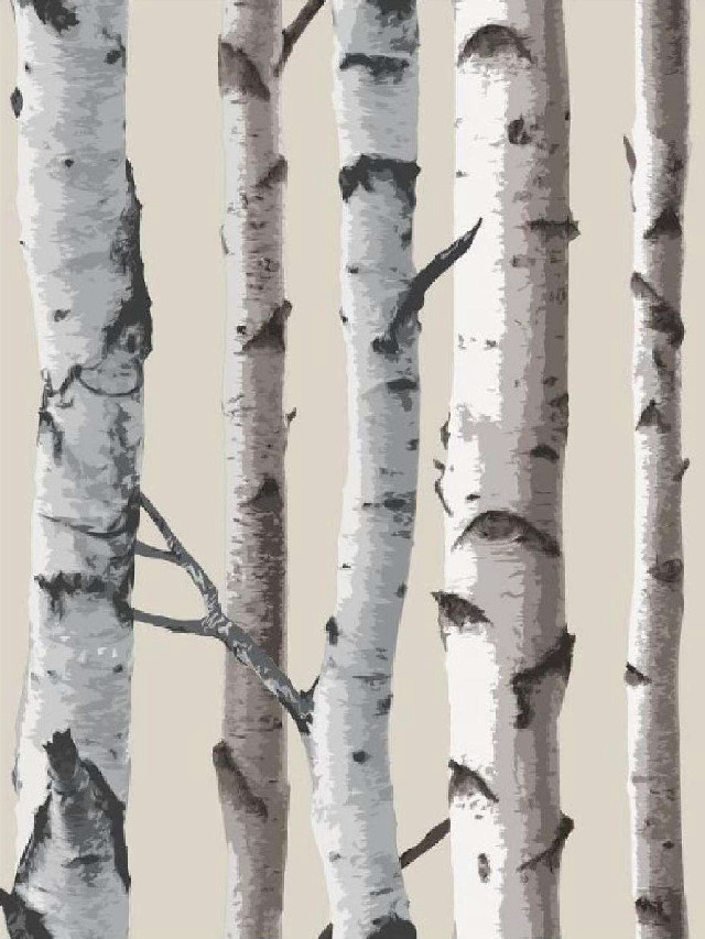 Trees white brown beige background free wallpaper for mobile - medium preview image