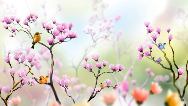 Bird tree branch pink flowers free wallpaper for desktop - medium preview image
