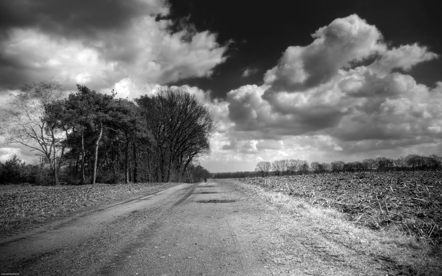 Dirt road trees clouds bw free wallpaper for desktop - medium preview image