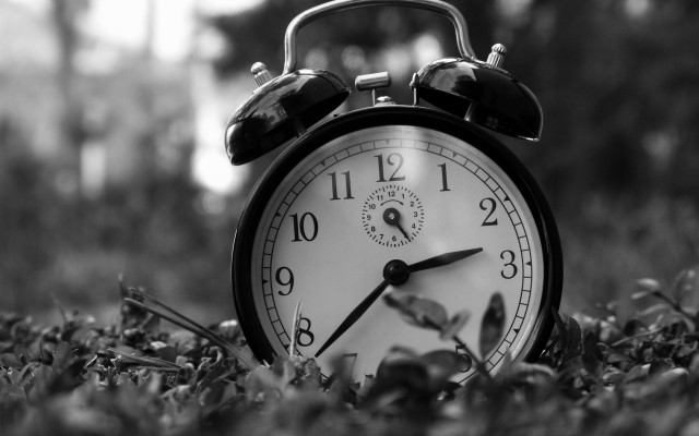 Black white alarmclock grass blurry free wallpaper for desktop - medium preview image