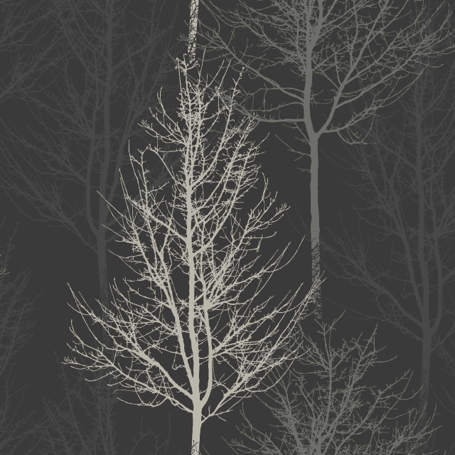 Black white bare tree ambient free wallpaper for tablet - medium preview image