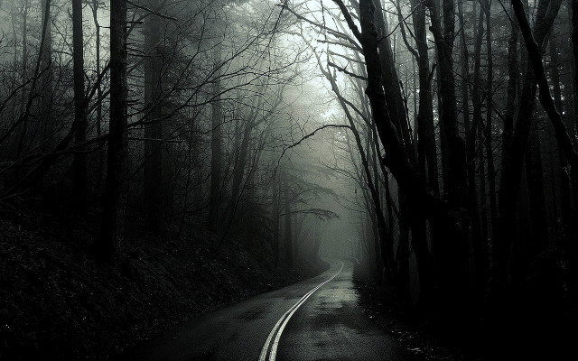 Forest road trees foggy sky free wallpaper for desktop - medium preview image