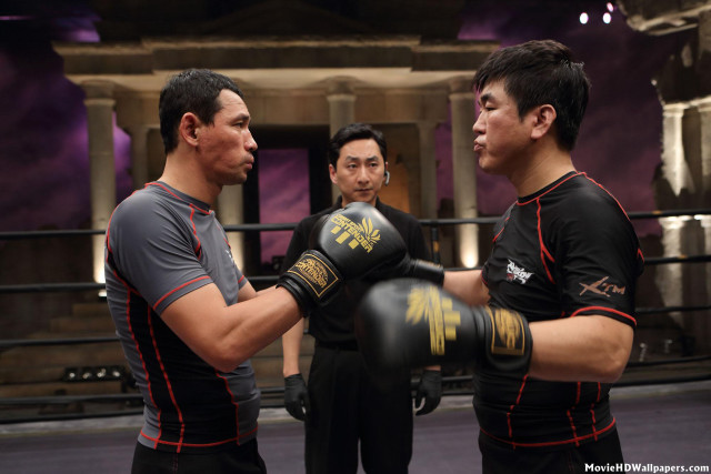 Boxing ring men black shirt free wallpaper for desktop - medium preview image