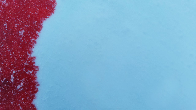 Red object snow sunny day free wallpaper for desktop - medium preview image