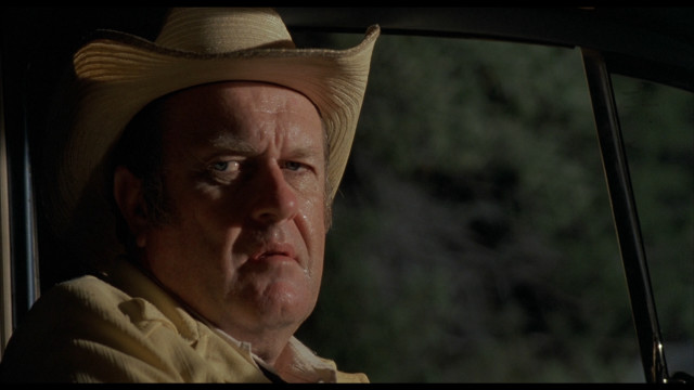 Cowboy hat man looking out free wallpaper for desktop - medium preview image