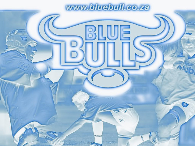 Blue bulls soccer man bull free wallpaper for desktop - medium preview image