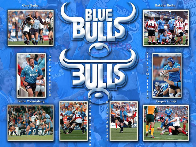 Blue bulls football team player free wallpaper for desktop - medium preview image