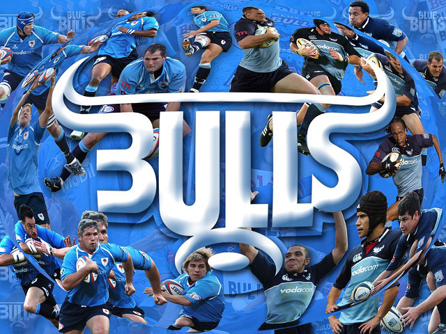 Bulls football team blue poolside free wallpaper for desktop - medium preview image