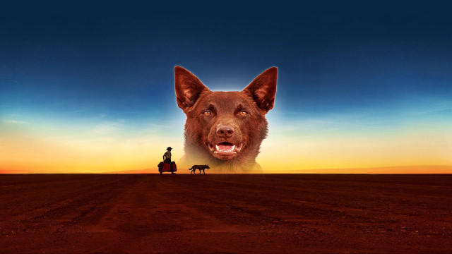 Dog man horse desert sunset free wallpaper for desktop - medium preview image