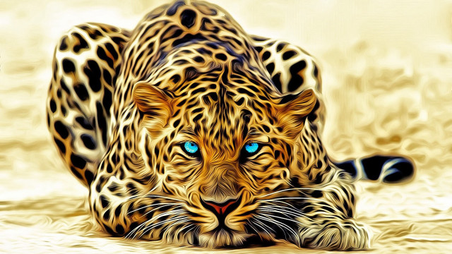 Leopard blue eyes laying head #2 free wallpaper for desktop - medium preview image