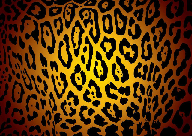 Leopard yellow black red border free wallpaper for desktop - medium preview image
