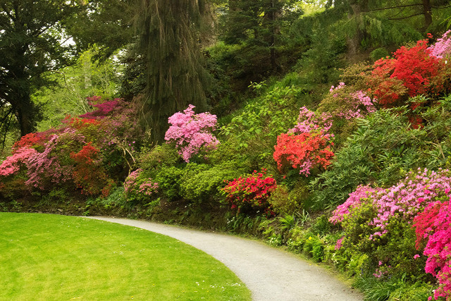 Park path flowers bench scenery free wallpaper for desktop - medium preview image