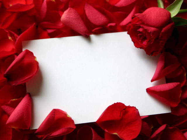 White card red flowers petals free wallpaper for desktop - medium preview image