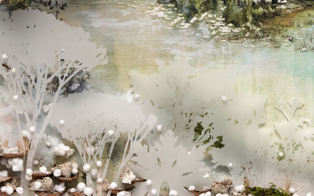 Forest white flowers trees blue free wallpaper for desktop - medium preview image