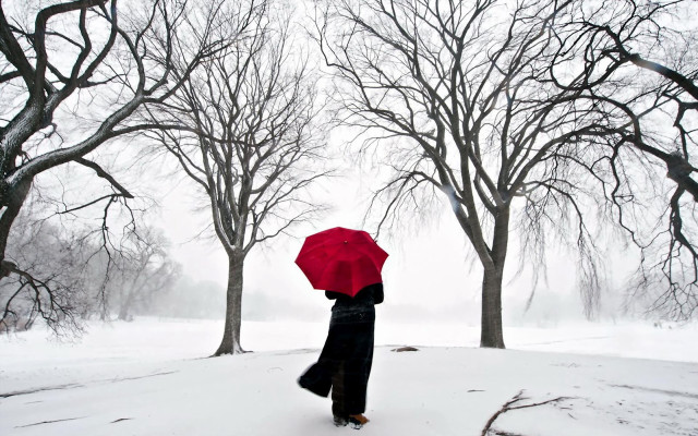 Person walking snow red umbrella #2 free wallpaper for desktop - medium preview image